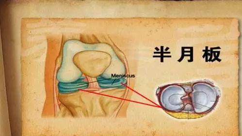 蛇龙摆尾打一最佳生肖，详细解答、精准解答解释落实