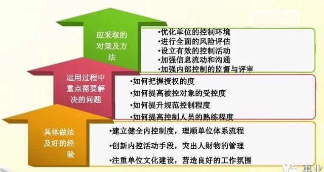 大露头角打一最佳生肖,警惕虚假宣传落实,构建解答解释落实